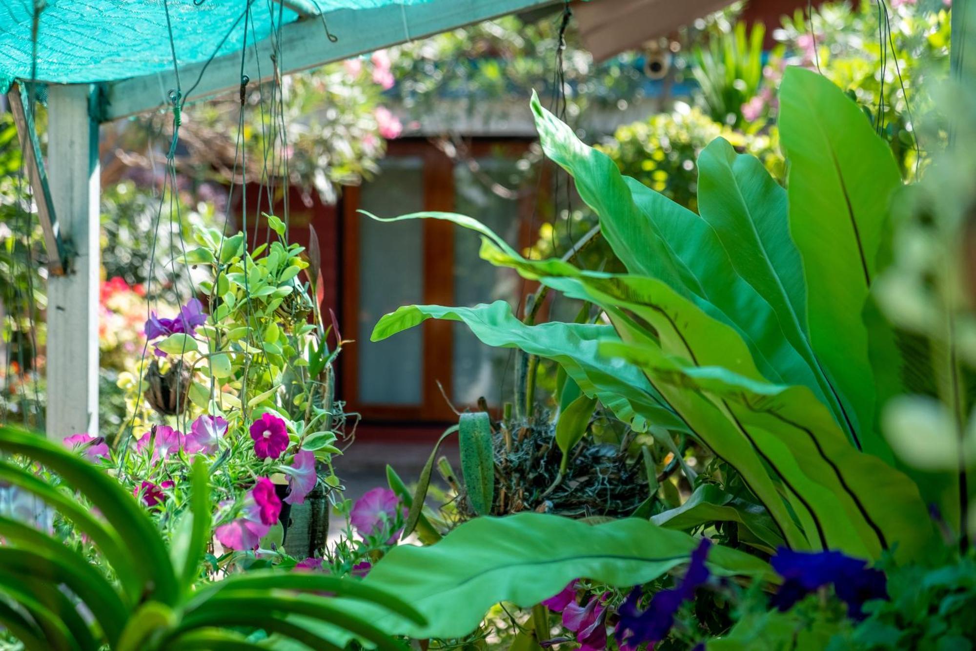 Thai Smile Bungalows Ko Lanta エクステリア 写真